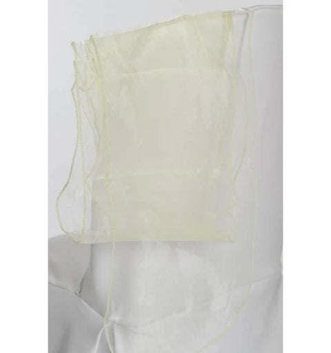 10 Ceinturages en Organza