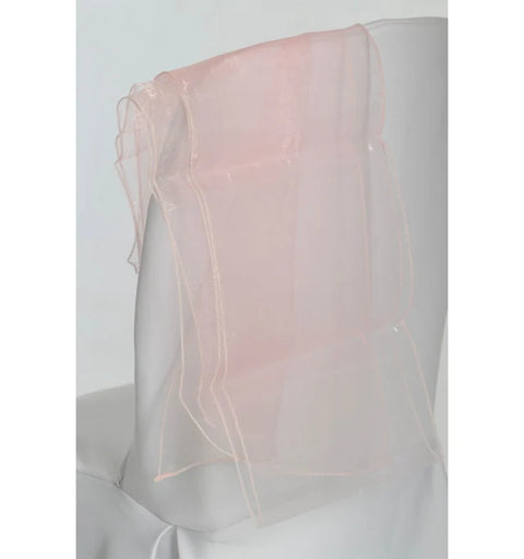 10 Ceinturages en Organza
