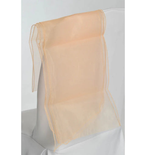 10 Ceinturages en Organza