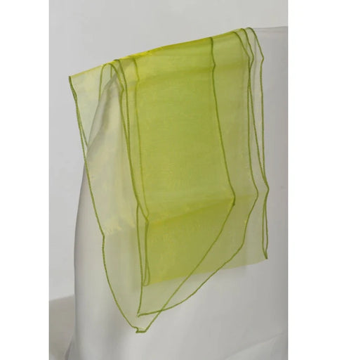 10 Ceinturages en Organza