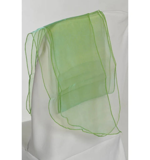 10 Ceinturages en Organza